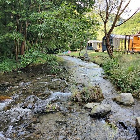 Transfagarasan River Retreat Арефу Екстериор снимка